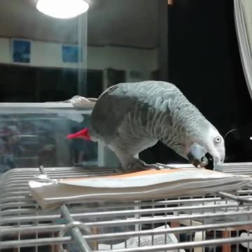 Get angry and throw a note！😱