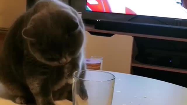 That is how my Caty Drinks Water