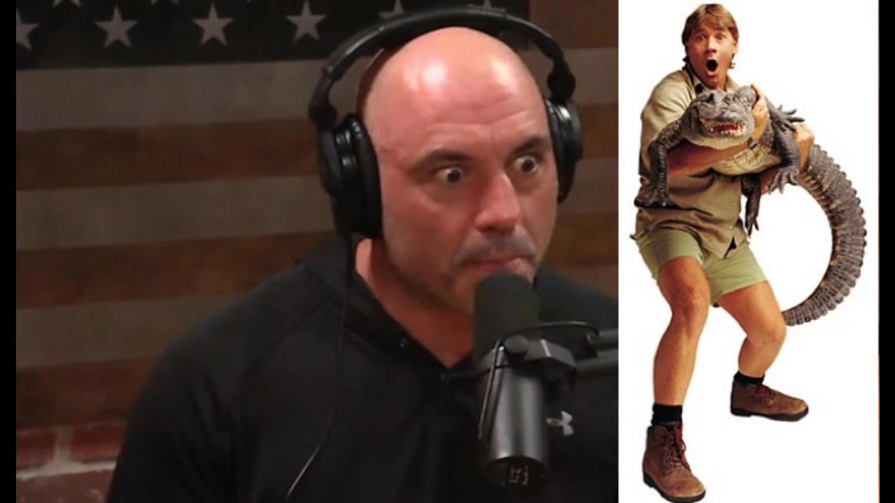 Joe Rogan Experience #&*% - Steve Irwin