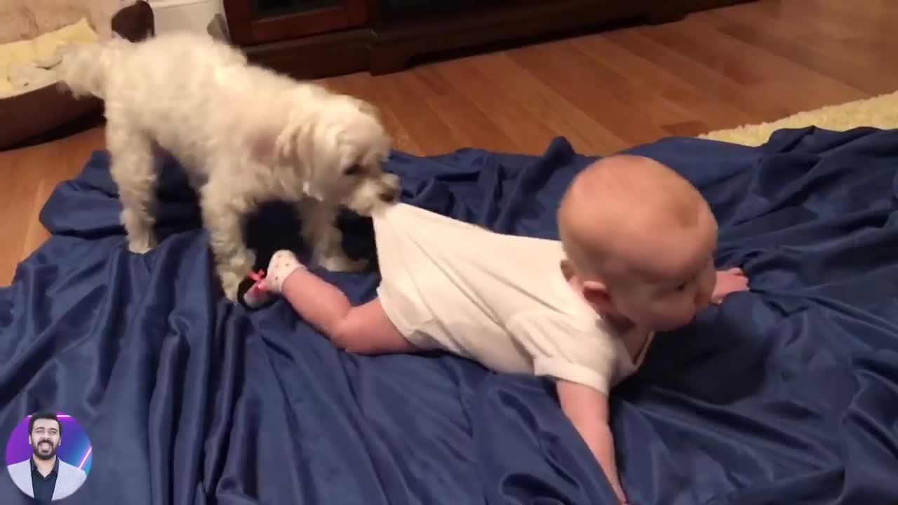 Baby and pets are best friend.