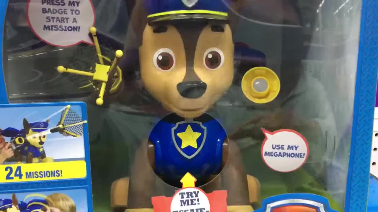 Paw Patrol Mission Chase