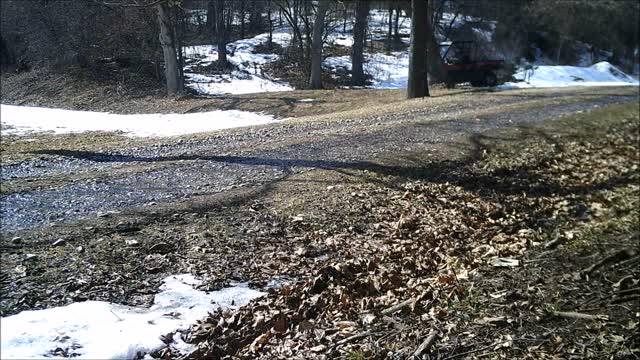 Fred Zepplin 2021, Warming Temps, Muddy Mule