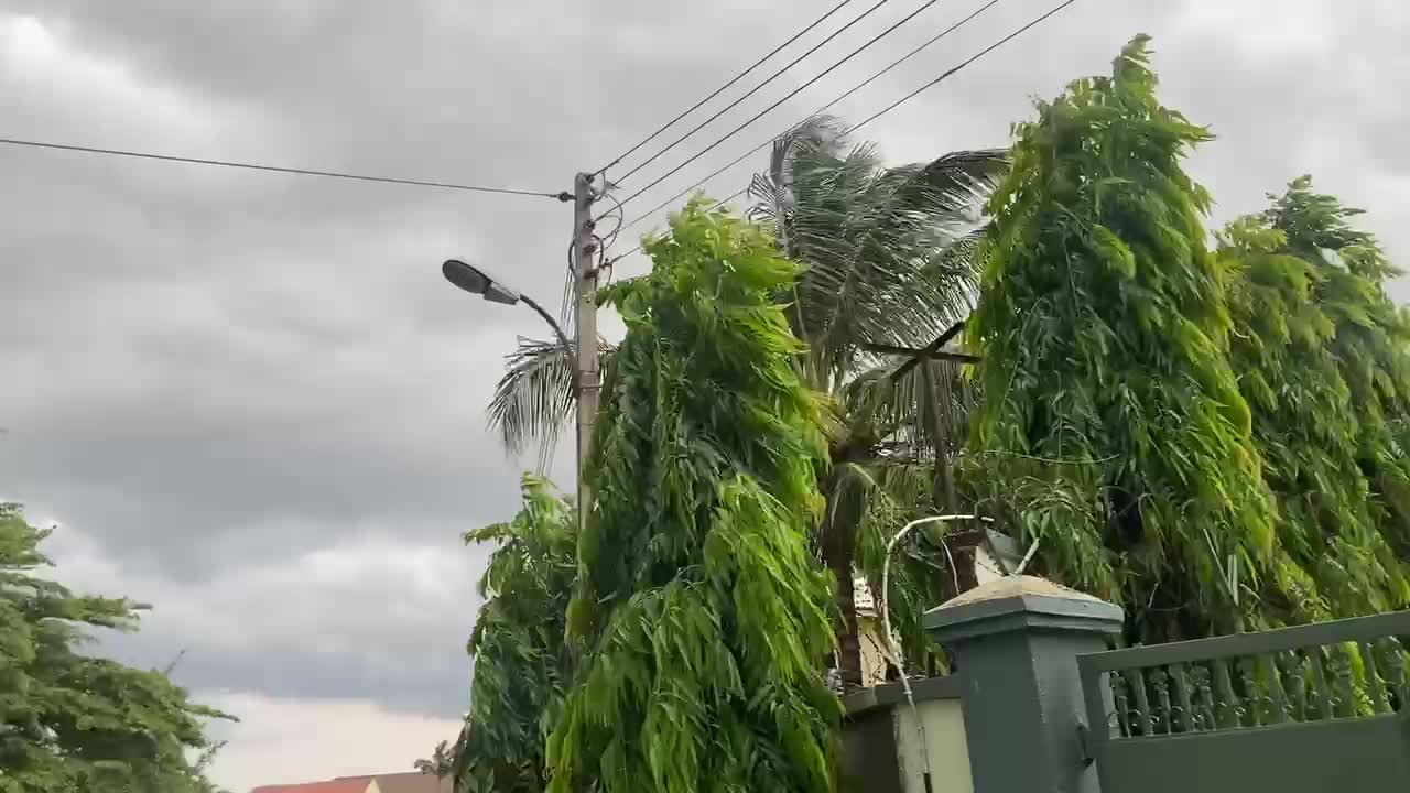 Heavy Wind Before A Storm // Rain In Africa