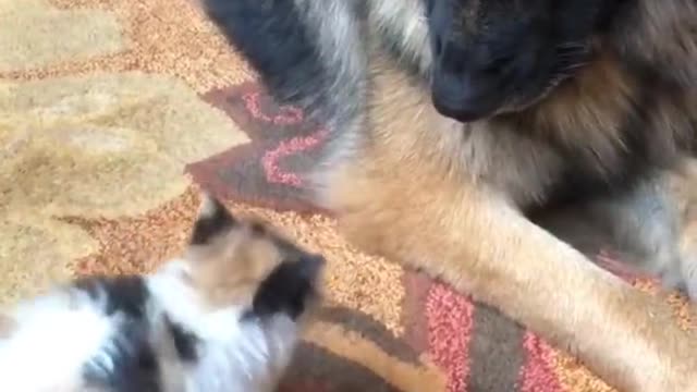 Playing time....🤣🤣🤣