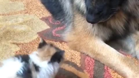 Playing time....🤣🤣🤣