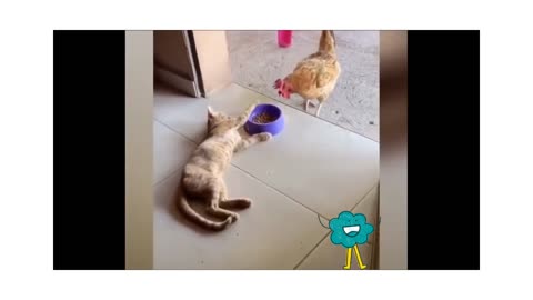 Funny animals video 😂 rumble videos 😆