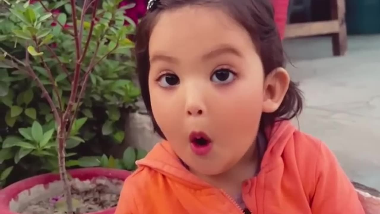 Funny video 🤣