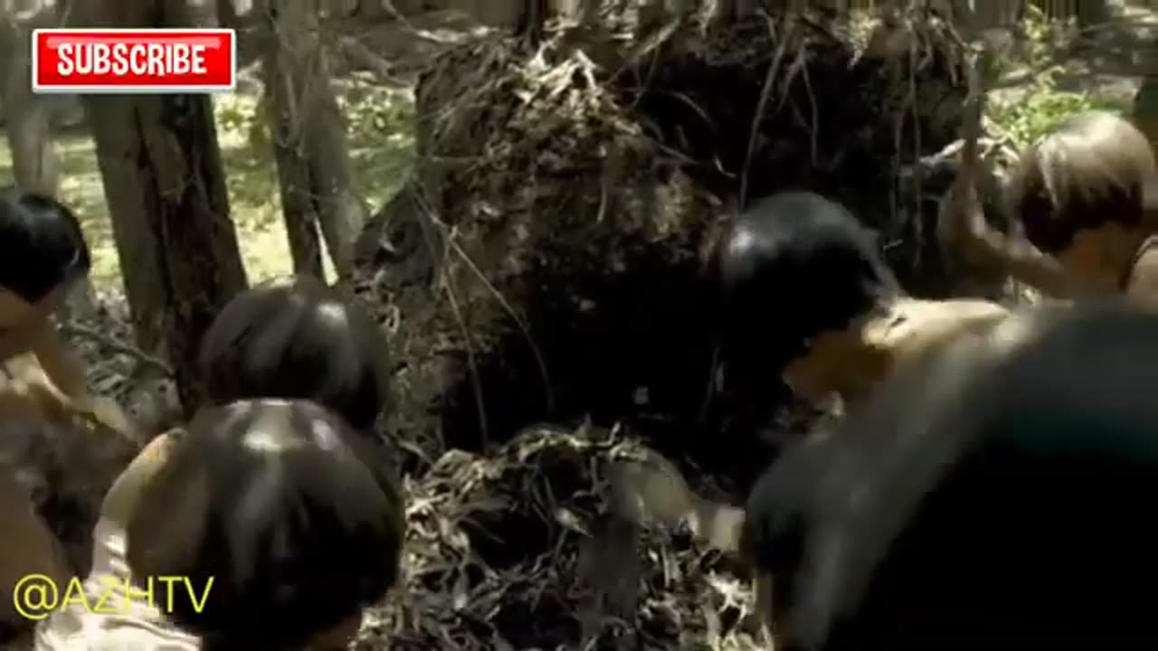 Movie clip1080p1 dwarves must be crazy part1