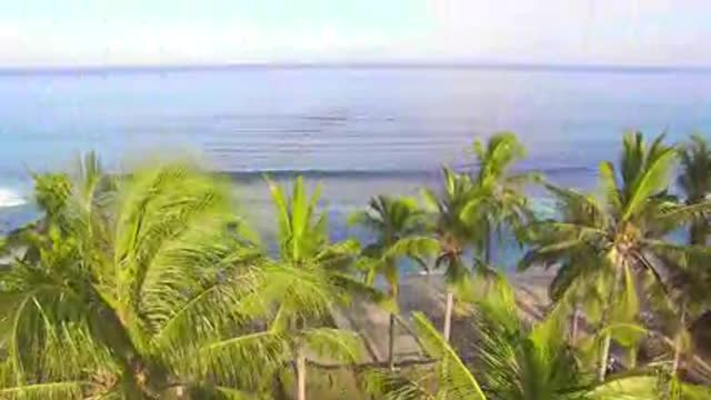 Raising Up Over Palm Trees on Beach