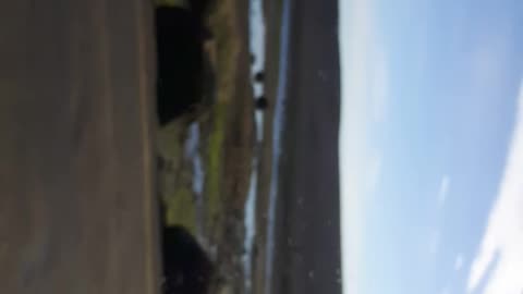 Coffee time in the car near a coastal river