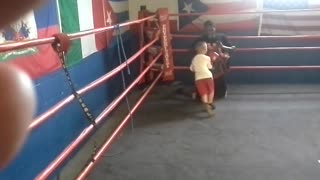 Joey's first Body Shield Work