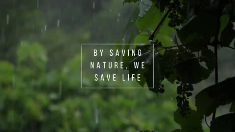 Rain sounds as a White noise and relaxing sounds! #rainsounds #whitenoise #relaxingsounds