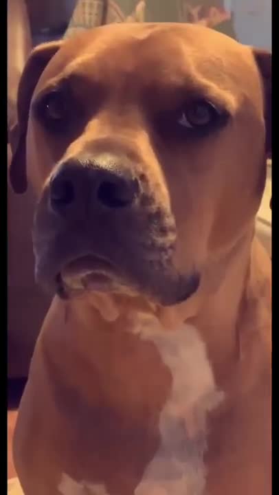 He's a goofy goober.