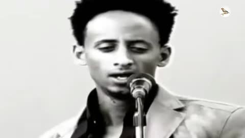 Eritrean music Tomas Alazar ፈሩዛ