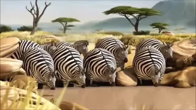 Cute animals in cartoon