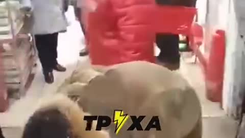 Russians Scrambling for Sugar Amidst Shortages