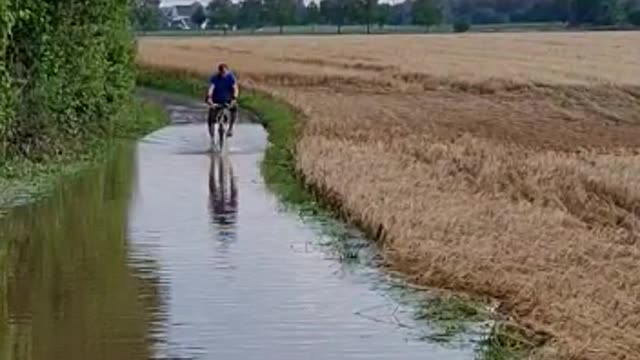 Wasser gestiegen auf der nette