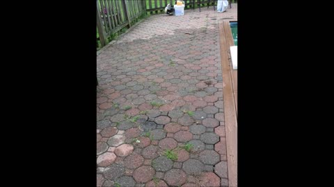 Jose Landscaping - (203) 612-5001