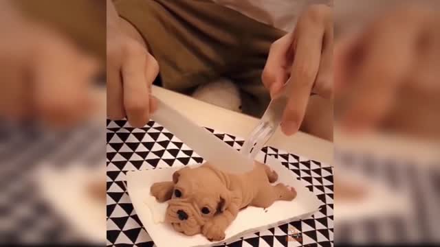 Dog Reaction to Cutting Cake - Funny Dog Cake Reaction Compilation