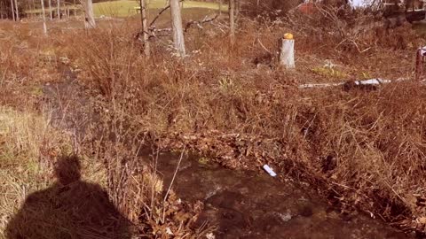 GOLDFISH POND COMPLETELY DESTROYED BY MOUNTAIN RUNOFF !!