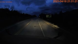 Near Miss as Deer Cross Precisely at Deer Crossing Sign