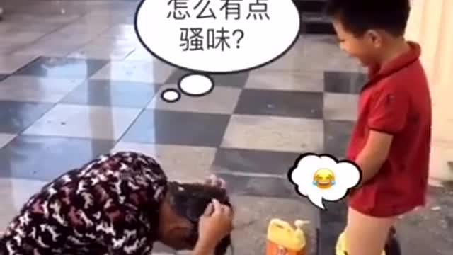 Entertainment & funny