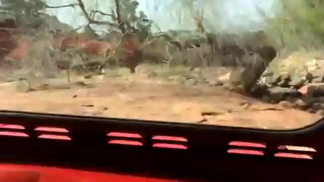 4x4 ADVENTURES - Mar 28th 2014