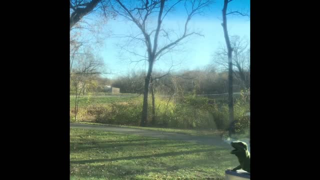 Herod: The Prideful, Pathetic, People Pleasing Political Power.