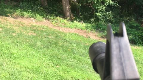 Full Auto SHREDS the target