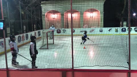 Backyard hockey