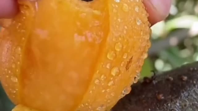 😍🍇🥭Farm Fresh Ninja Fruit Cutting (Desi Satisfying Fruit Ninja) 🍇🥭Fruit Ideas | Amazing Fruits 😍🍇