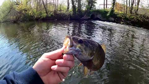 Day out on the river, part 1