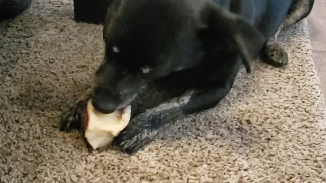 Jesus's first miracle