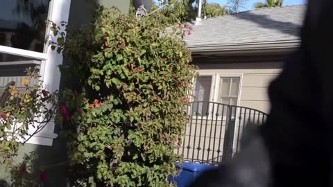 Suge Knight Gets Real With "Fans"