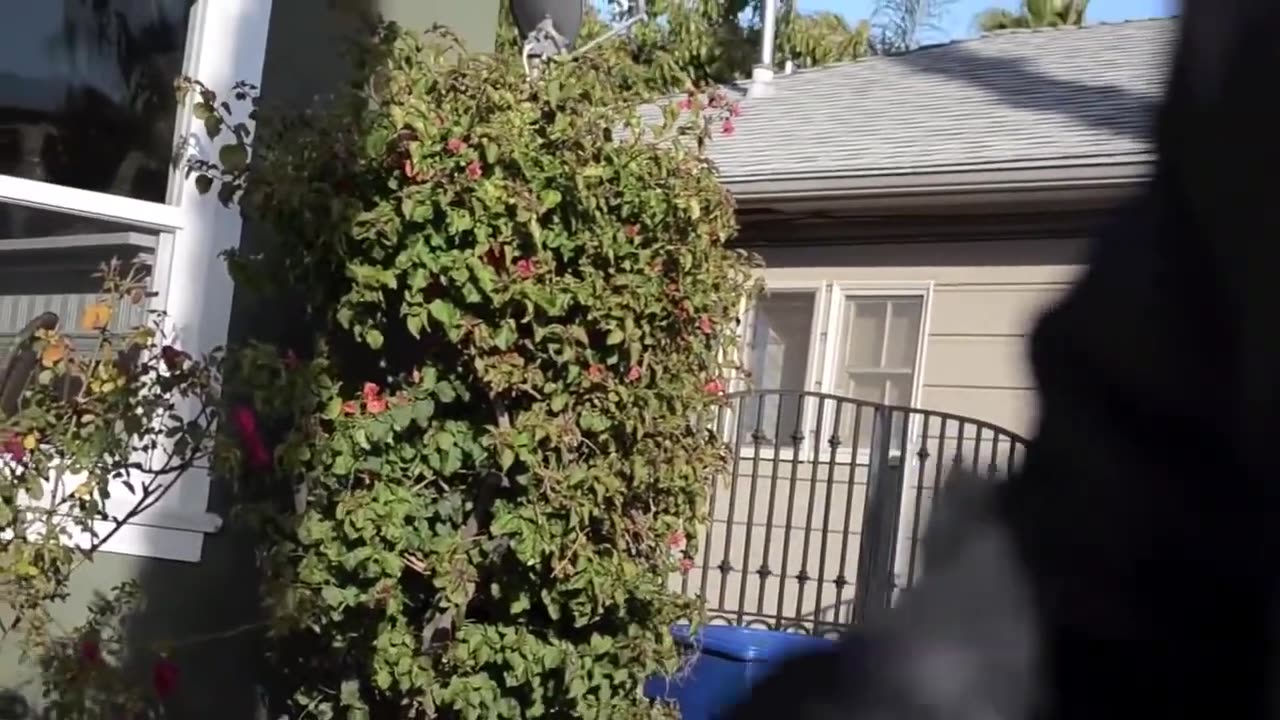 Suge Knight Gets Real With "Fans"