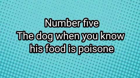 Dog react on poison food