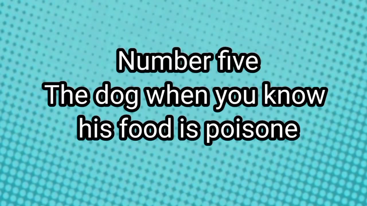 Dog react on poison food