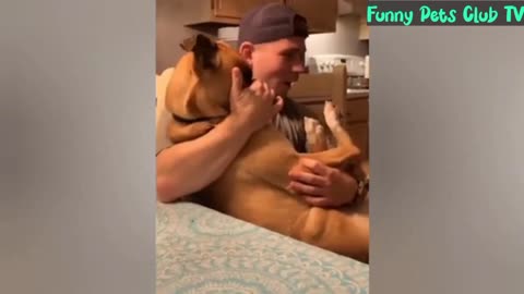 Funny Animal Videos 🤣 Funniest Cats and Dogs Videos 2024 😁
