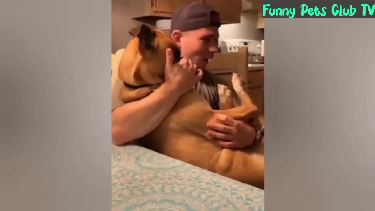 Funny Animal Videos 🤣 Funniest Cats and Dogs Videos 2024 😁