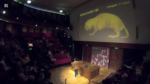 Can you do anything about Ageing?