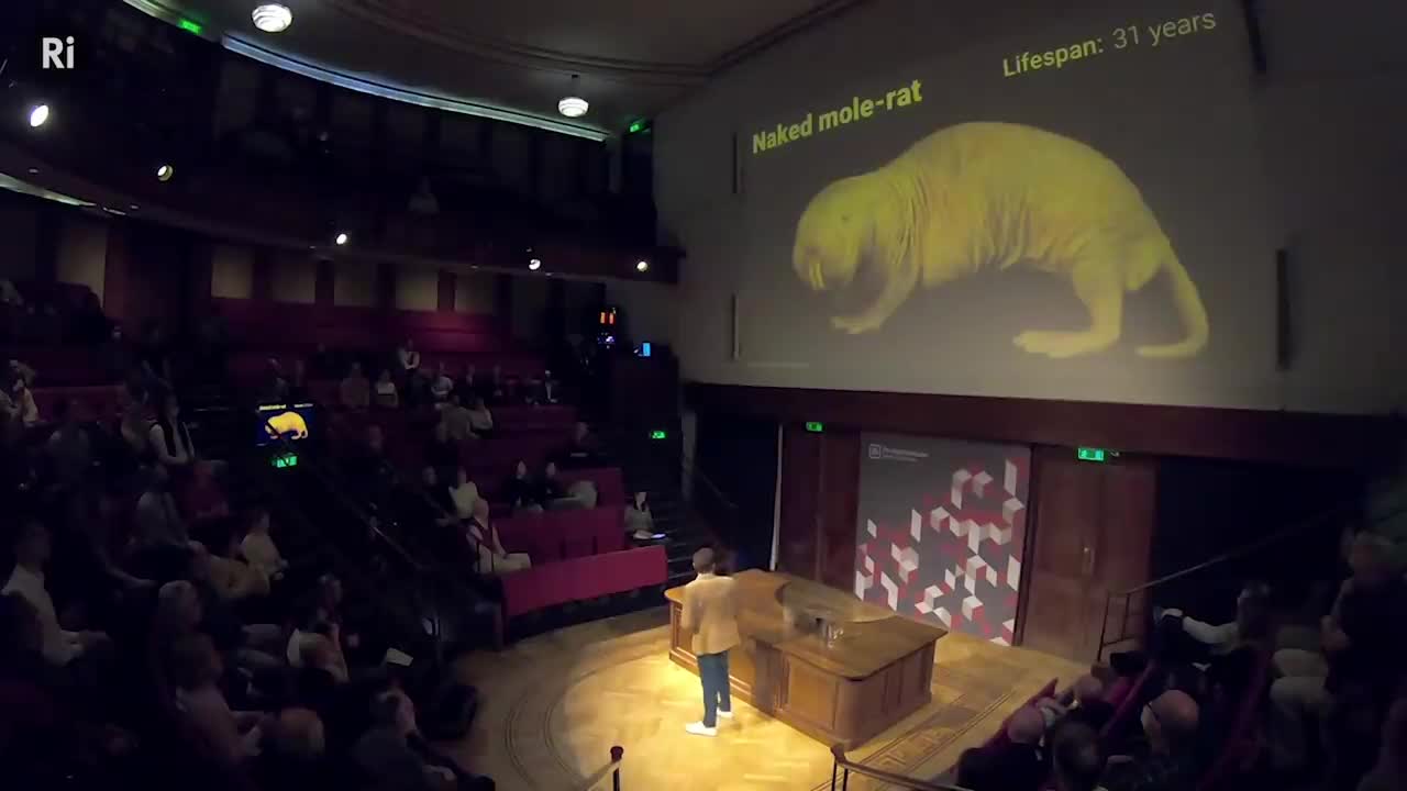 Can you do anything about Ageing?