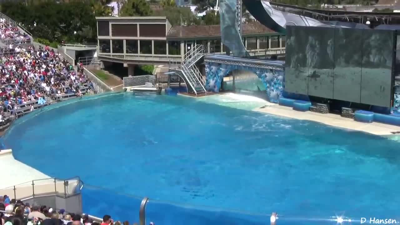 seaworld attack!!