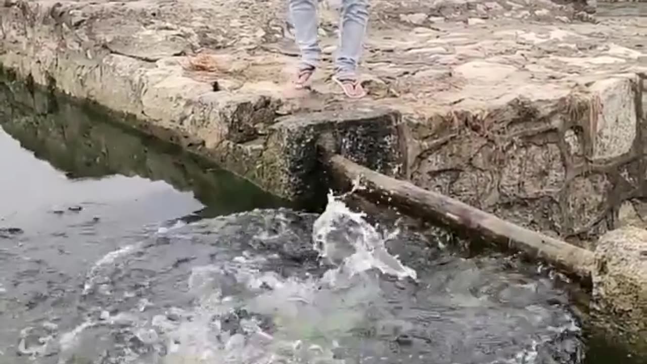 New funny videos 2023 rumble viral