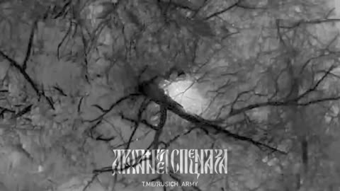 Всушник решил, что он самый хитрый, и никто его не найдёт под поваленным деревом
