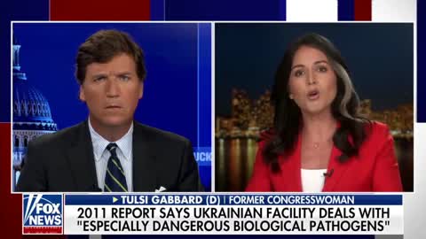Tulsi Gabbard about secret biolabs in Ukraine