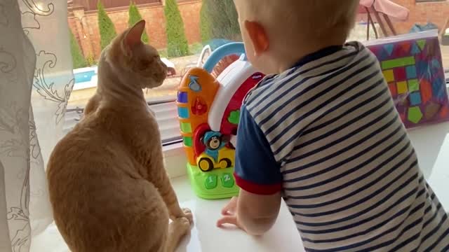 beautiful baby playing a cat.....