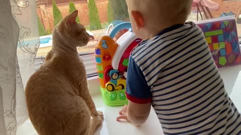 beautiful baby playing a cat.....