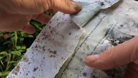 2021-05-15 (2) - Ouverture du courrier - Youtube