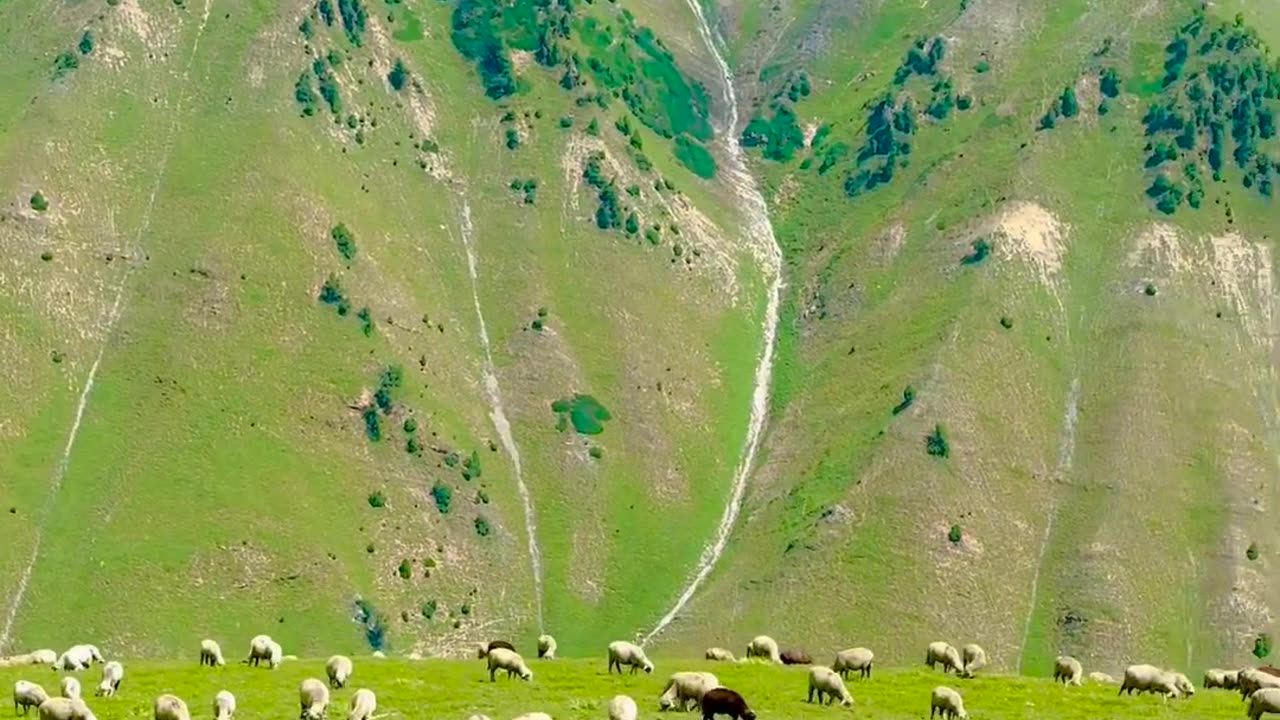 amazing wonderful place