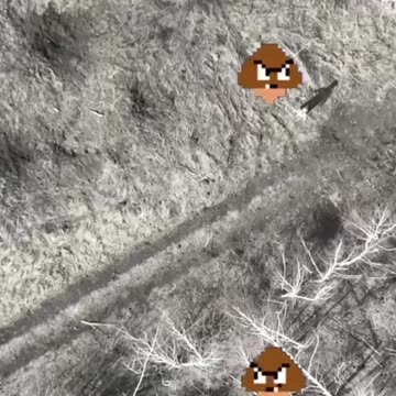 More Super Mario Nextgen